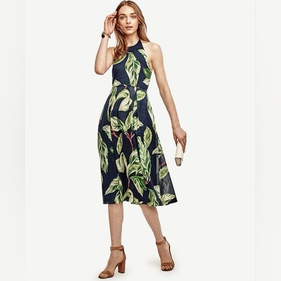 Ann Taylor Factory Dresses & Skirts - Ann Taylor Factory Navy Midi Dress with Green Leaf Print